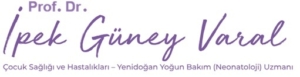 Prof. Dr. İpek Güney Varal